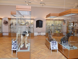 Выставка «Собаки вывели меня в люди. К 150-летию со дня рождения М.М. Пришвина» СПМЗ